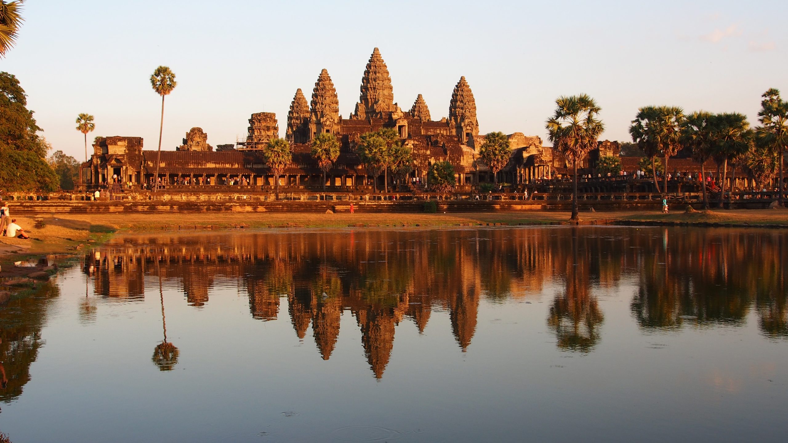 Pack Your Travel Here
